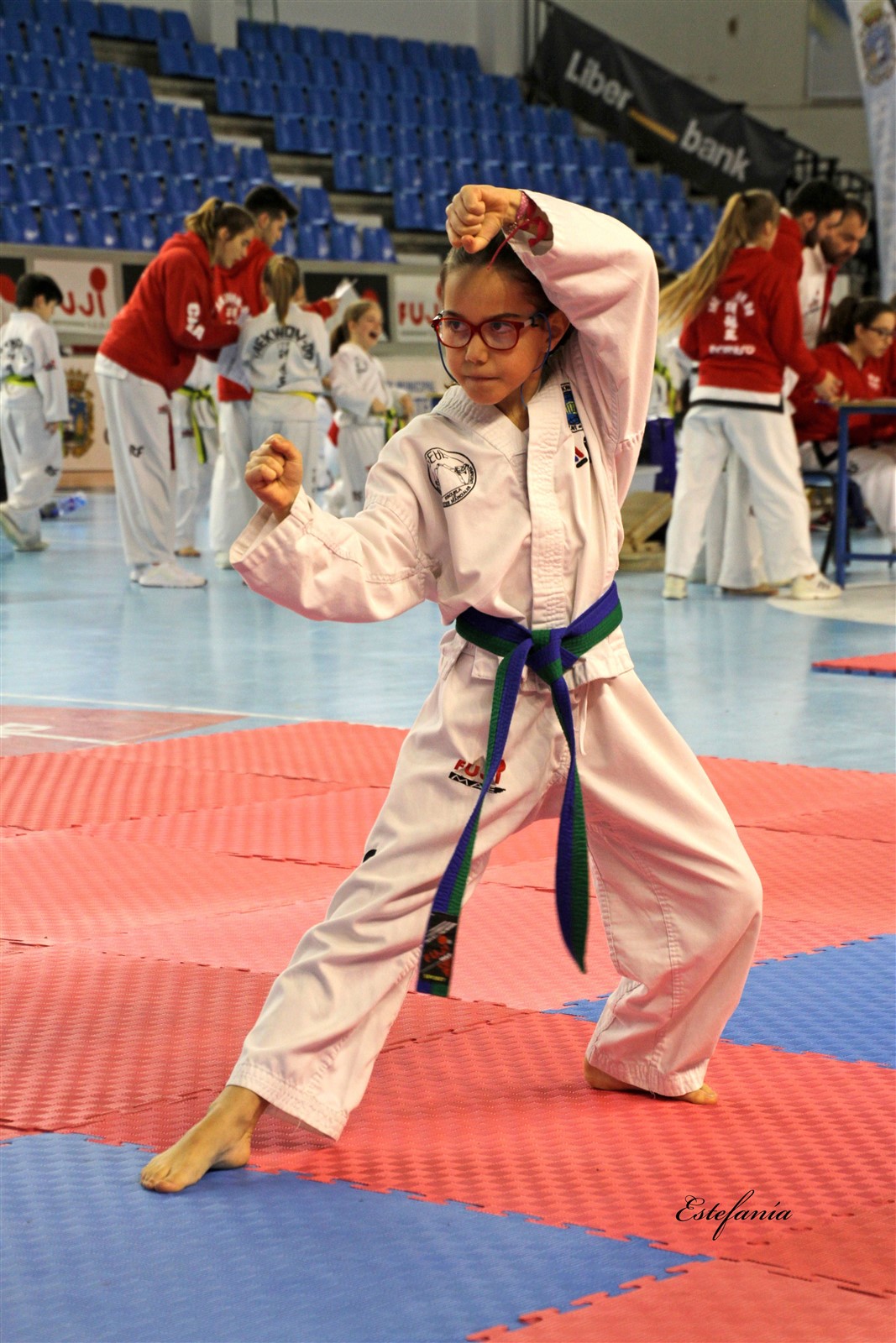 Taekwondo (106).jpg